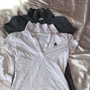 2 Pack Collared T Shirts